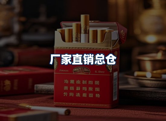 专业团队办公环境